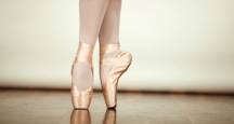 NYC Activity, The New York City Ballet