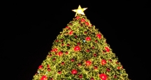 Rockefeller Center Christmas Tree Lighting, NY Event