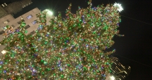 Rock Center Tree Lighting, Event in NYC